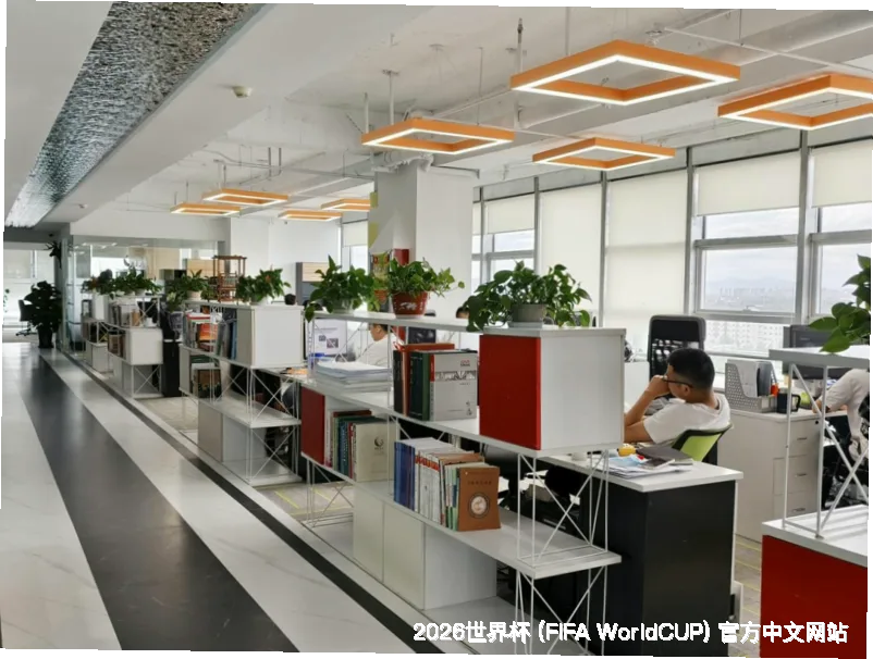未来愿景与发展方向